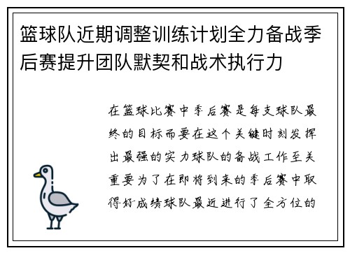 篮球队近期调整训练计划全力备战季后赛提升团队默契和战术执行力