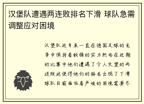 汉堡队遭遇两连败排名下滑 球队急需调整应对困境
